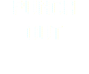 PUNCH OUT 